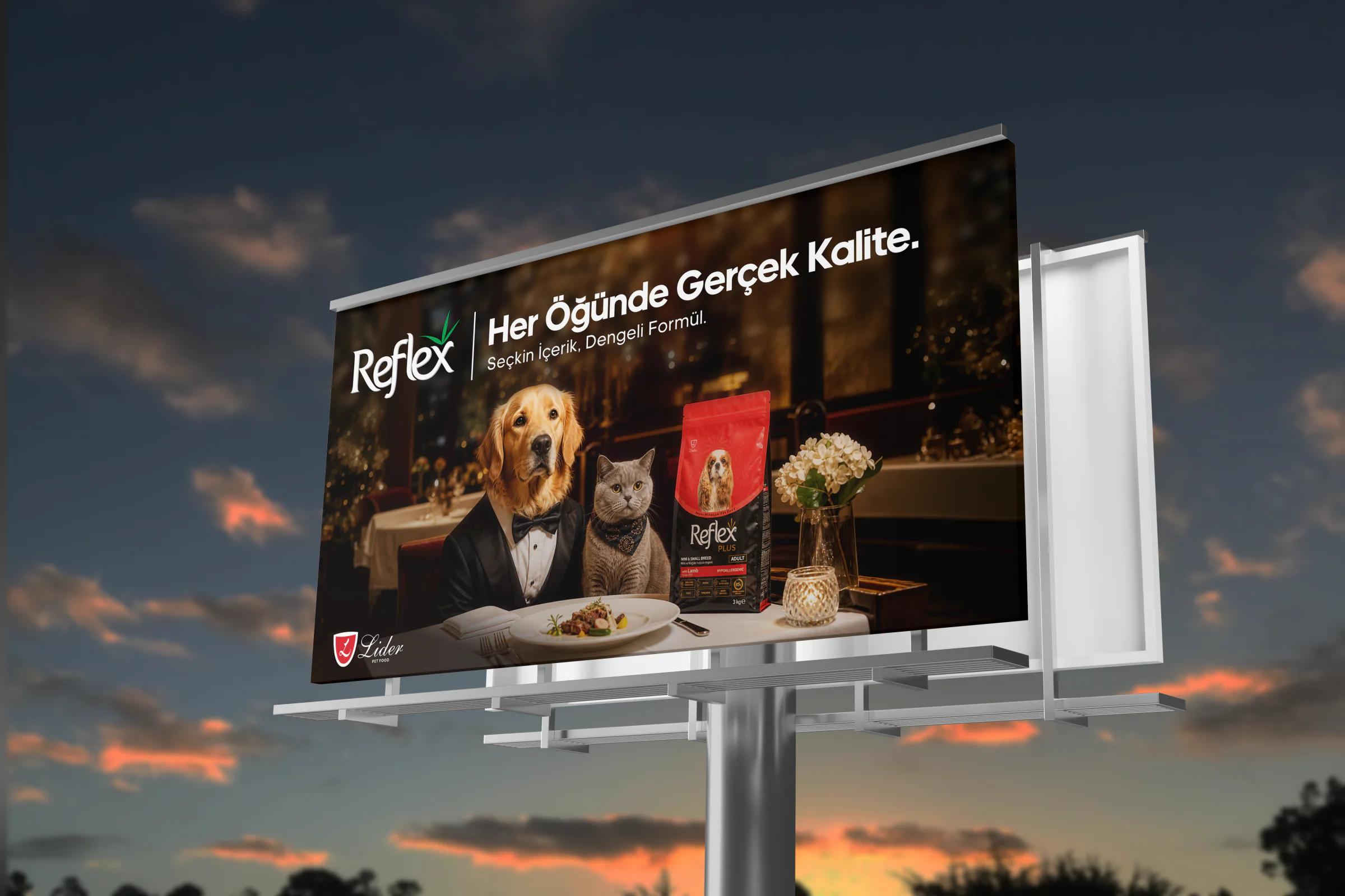 REFLEX OUTDOOR CAMPAIGN